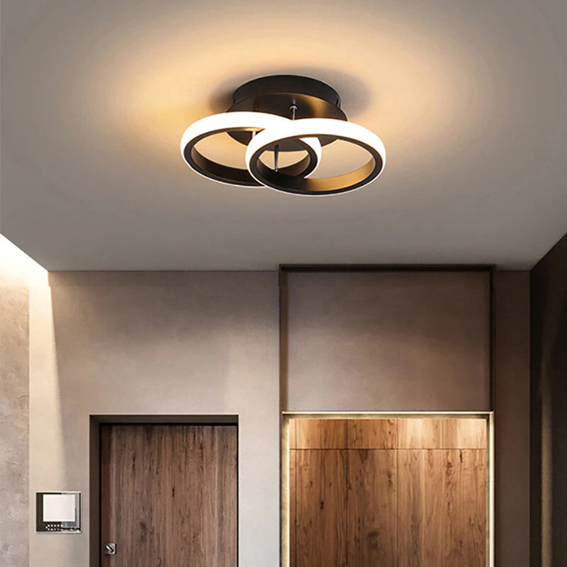 Modern Style Ceiling Lamp